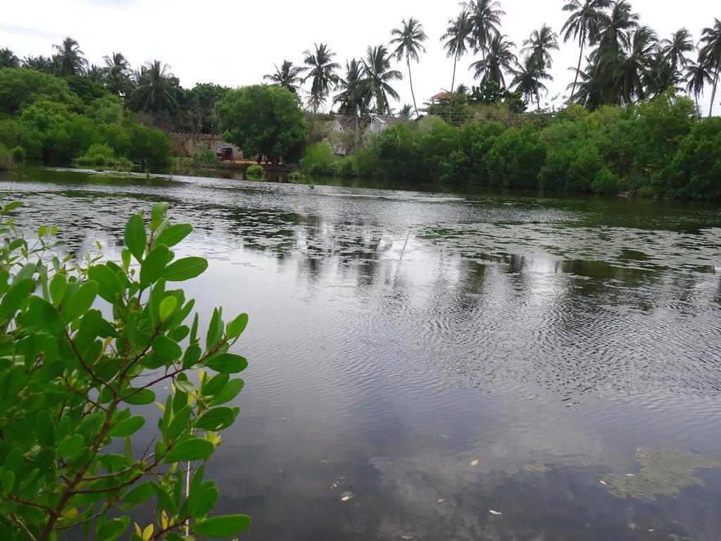 Rock Pool Residence Tangalle Exterior foto