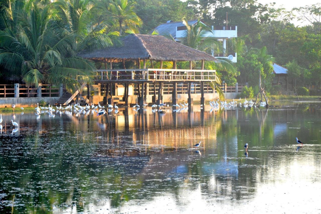Rock Pool Residence Tangalle Exterior foto